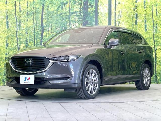 ＣＸ－８ ＸＤプロアクティブ　メーカー８．８型コネクトナビ　全周囲カメラ　禁煙車　衝突被害軽減　レーダークルーズ　ブラインドスポットモニター　クリアランスソナー　シートメモリ　ＨＵＤ　ドラレコ　ステリモ　シートヒーター　ＥＴＣ（28枚目）