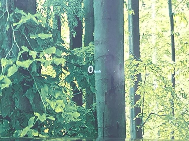 ＣＸ－８ ＸＤプロアクティブ　メーカー８．８型コネクトナビ　全周囲カメラ　禁煙車　衝突被害軽減　レーダークルーズ　ブラインドスポットモニター　クリアランスソナー　シートメモリ　ＨＵＤ　ドラレコ　ステリモ　シートヒーター　ＥＴＣ（48枚目）