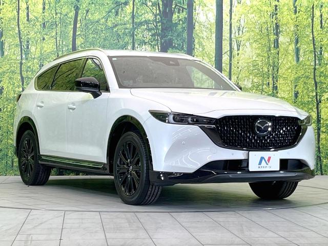 CX-8 25S スポーツアピアランス BOSEサウンド ルーフレール 10型マツダコネクト 全周囲カメラ 禁煙車 レーダークルーズ ブラインドスポットモニター パワーシート 前席シートヒーター ステアリングヒーター パワーバックドア(17枚目)