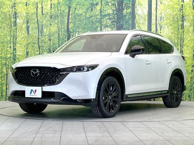 CX-8 25S スポーツアピアランス BOSEサウンド ルーフレール 10型マツダコネクト 全周囲カメラ 禁煙車 レーダークルーズ ブラインドスポットモニター パワーシート 前席シートヒーター ステアリングヒーター パワーバックドア(64枚目)