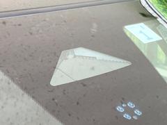 �ڥۥ�����󥷥󥰡�������������μ�ξ����ǧ���������ͤ������ʻ��Ϸ���ȥ֥졼���Ǿ��Ͳ�����ﳲ�ڸ��򥢥����ȡ��������˥ɥ饤�֤򤪳ڤ��ߤ��������ޤ��� 3