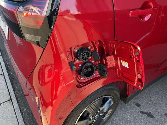 サクラ X 雹害車(37枚目)