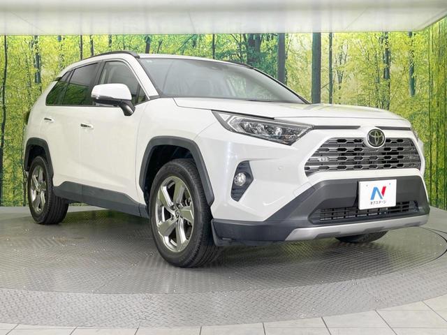 RAV4 G 純正9型ナビ バックカメラ 衝突軽減システム レーダークルーズ 禁煙車 ブラインドスポットモニター 電動リアゲート パワーシート コーナーセンサー スマートキー LEDヘッド ルーフレール ETC(16枚目)