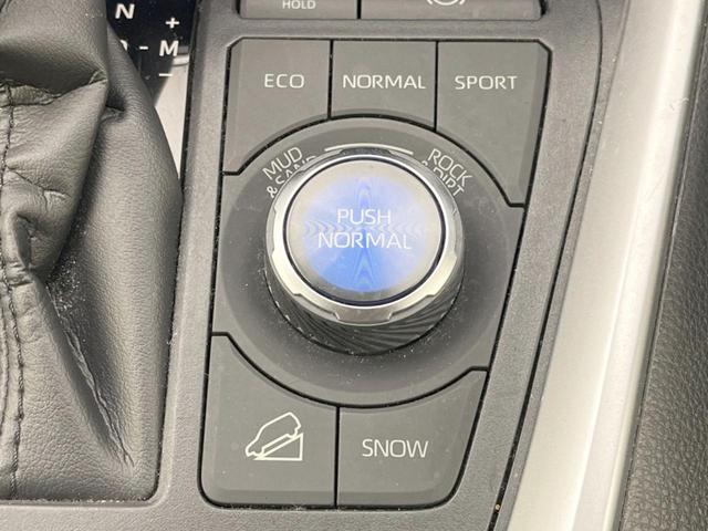 RAV4 アドベンチャー 4WD 純正ナビ バックカメラ 衝突軽減システム レーダークルーズ BSM 禁煙車 パワーシート ドラレコ スマートキー LEDヘッド ルーフレール ビルトインETC オートハイビーム オートライト(52枚目)