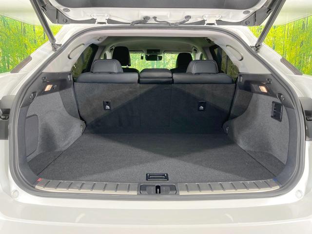 ＲＸ ＲＸ３００ブラックシークエンス　純正１２型ナビ　全周囲カメラ　マークレビンソン　衝突軽減　レーダークルーズ　禁煙車　電動リアゲート　レザーシート　前席シートエアコン　ドラレコ　コーナーセンサー　スマートキー　ＬＥＤヘッド　ＢＳＭ（10枚目）