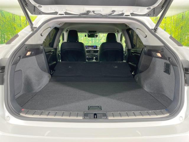 ＲＸ ＲＸ３００ブラックシークエンス　純正１２型ナビ　全周囲カメラ　マークレビンソン　衝突軽減　レーダークルーズ　禁煙車　電動リアゲート　レザーシート　前席シートエアコン　ドラレコ　コーナーセンサー　スマートキー　ＬＥＤヘッド　ＢＳＭ（43枚目）