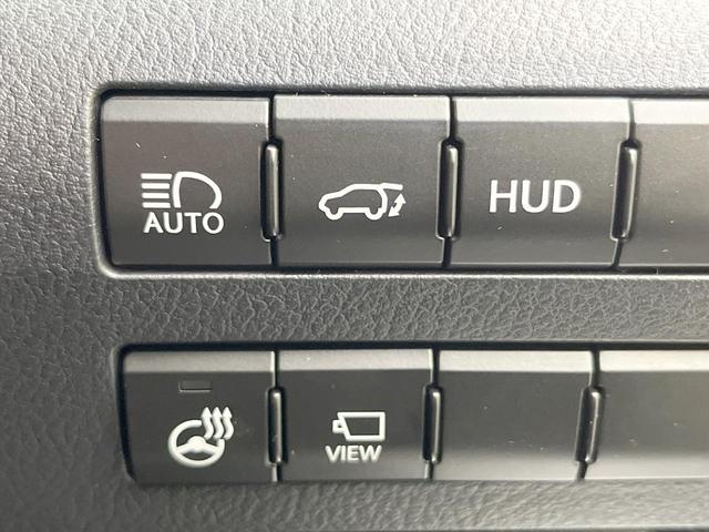 ＲＸ ＲＸ３００ブラックシークエンス　純正１２型ナビ　全周囲カメラ　マークレビンソン　衝突軽減　レーダークルーズ　禁煙車　電動リアゲート　レザーシート　前席シートエアコン　ドラレコ　コーナーセンサー　スマートキー　ＬＥＤヘッド　ＢＳＭ（48枚目）