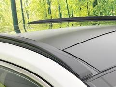 ڥ롼աۥܥҤȤĤǳĲǽäפΥ롼դ夵Ƥޤ줿ʿڤʳˤ⡢ɤߤʼζñ˴ǤƲŬǤ 4