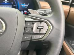 �ڥ졼�������롼������ȥ�����۹�®ƻϩ�Ǥ�Ĺ��Υ���Ԥ��ڤˡ�����ư��®�٤��ݤĥ��롼������ȥ����뤬�����ͷڸ������ƥ��Ϣ�Ȥ��������μ�ξ���Τ��Ƽִ֤��ݤĤ褦��®��Ĵ�ᤷ�Ƥ���ޤ����� 7