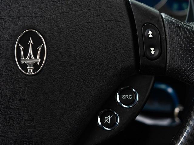 音声のミュートもお手元で操作可能です。