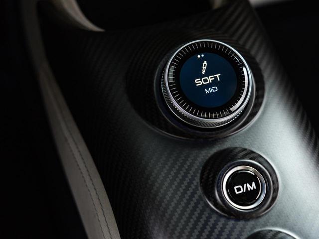 クーペ ベースグレード 認定保証2年付 OP330 インテリアカーボンパッケージ ブルーインフィニート サスペンションリフター SonusFaberハイプレミアムサウンドシステム レッドキャリパー(30枚目)