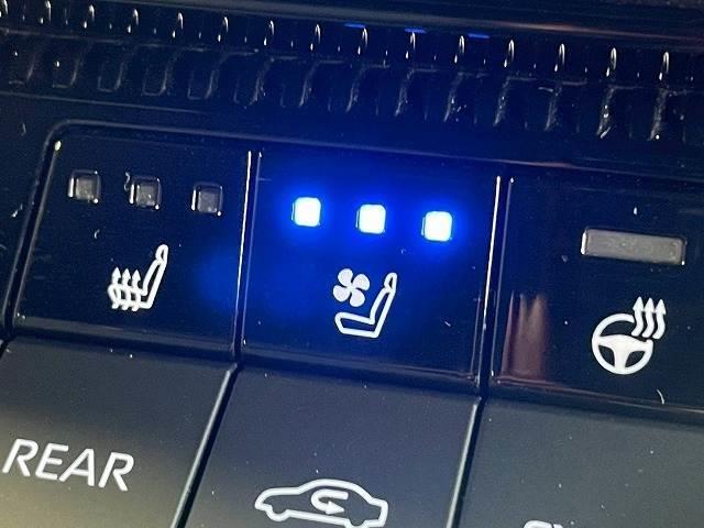 ランドクルーザー250 VX 丸目/全周囲/サンルーフ/12.3型ナビ/BSM/AppleCarPlay/追従クルコン/電動リアゲート/シートH/ベンチレーション/ステアリングH/デジタルインナー/コーナーセンサー/パワーシート(12枚目)