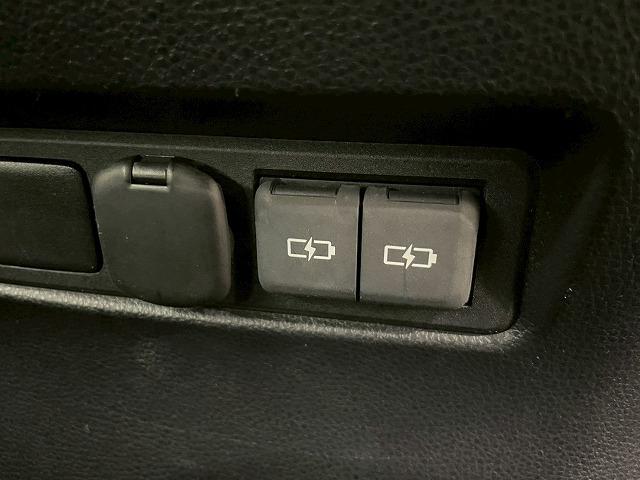 ランドクルーザー250 VX 丸目/全周囲/サンルーフ/12.3型ナビ/BSM/AppleCarPlay/追従クルコン/電動リアゲート/シートH/ベンチレーション/ステアリングH/デジタルインナー/コーナーセンサー/パワーシート(42枚目)