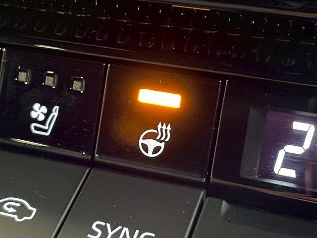 ランドクルーザー250 VX 丸目/全周囲/サンルーフ/12.3型ナビ/BSM/AppleCarPlay/追従クルコン/電動リアゲート/シートH/ベンチレーション/ステアリングH/デジタルインナー/コーナーセンサー/パワーシート(56枚目)