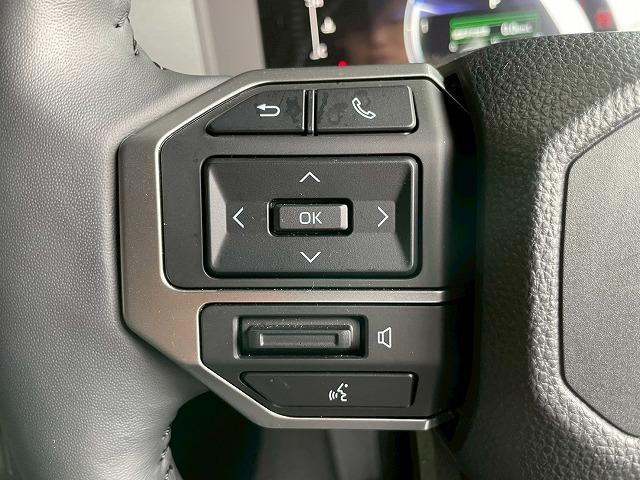 ランドクルーザー250 VX 丸目/全周囲/サンルーフ/12.3型ナビ/BSM/AppleCarPlay/追従クルコン/電動リアゲート/シートH/ベンチレーション/ステアリングH/デジタルインナー/コーナーセンサー/パワーシート(64枚目)