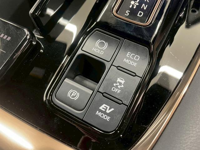 ヴェルファイアハイブリッド Ｚ　プレミア　１３．２型モニタ／ユニバーサルステップ／ムーンルーフ／トヨタチームメイト／ワイヤレス充電／１４インチディスプレイオーディオ／１９インチアルミホイール／全周囲カメラ／ベンチレーション／ブラインドスポット（69枚目）