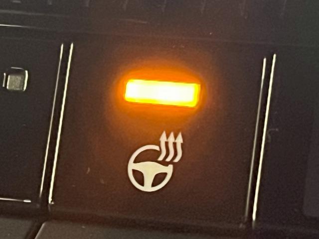 ランドクルーザー250 VX AppleCarPlay/全方位カメラ/サンルーフ/BSM/シートヒーター/ベンチレーション/電動リアゲート/パワーシート/デジタルインナーミラー/ステアリングヒーター/追従クルコン/スマートキー(63枚目)