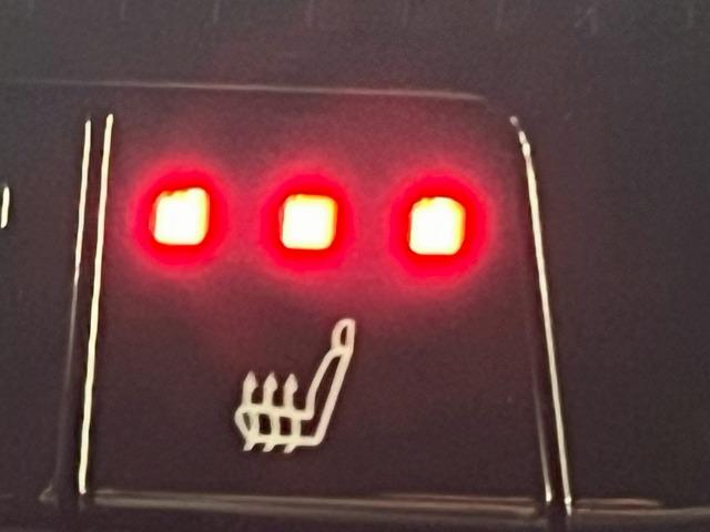 ランドクルーザー250 VX AppleCarPlay/全方位カメラ/サンルーフ/BSM/シートヒーター/ベンチレーション/電動リアゲート/パワーシート/デジタルインナーミラー/ステアリングヒーター/追従クルコン/スマートキー(64枚目)