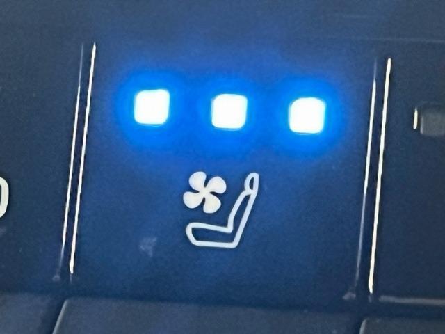 ランドクルーザー250 VX AppleCarPlay/全方位カメラ/サンルーフ/BSM/シートヒーター/ベンチレーション/電動リアゲート/パワーシート/デジタルインナーミラー/ステアリングヒーター/追従クルコン/スマートキー(65枚目)