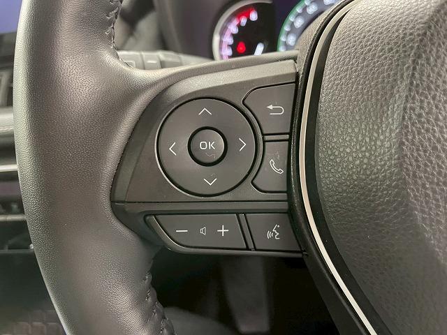 RAV4 G 全周囲/ブラインドスポットモニター/電動リアゲート/シートヒーター/レーダークルーズコントロール/純正ナビ/フルセグTV/Bluetooth接続/ディスプレイオーディオ/プッシュスタート/パワーシート(45枚目)