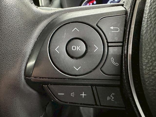 RAV4 G 全方位カメラ/シートヒーター/サンルーフ/ブラインドスポットモニター/追従クルコン/電動リアゲート/シートメモリ/コーナーセンサー/パワーシート/ETC/プッシュスタート/ステアリングリモコン(67枚目)