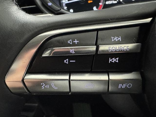 CX-30 XD Lパッケージ 全周囲/CD/DVD/地デジ/電動リアゲート/パワーシート/電動ハッチバック/追従クルーズコントロール/ブラインドスポットモニター/シートヒーター/ハンドルヒーター/CD/DVD/パドルシフト(52枚目)