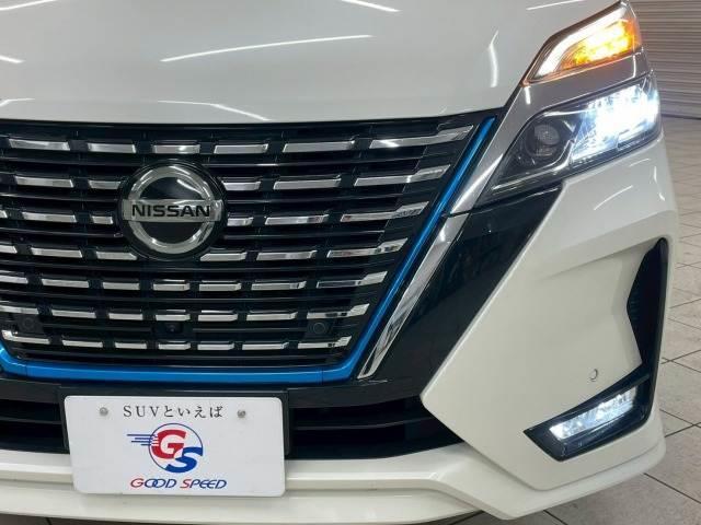 �k�d�c�w�b�h���C�g���ځB�铹�����邭�Ƃ炵�܂��B