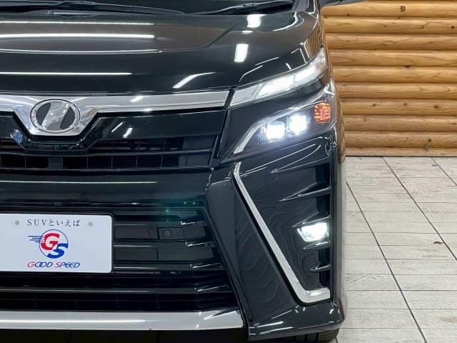 �y�k�d�c�w�b�h���C�g�z�ł��B���ݎ嗬�̃w�b�h���C�g�Ŗ��邢�̂Ŏ��F�����ǂ����S�ł��B���邳�Ƃ������悳�����y���݂�������