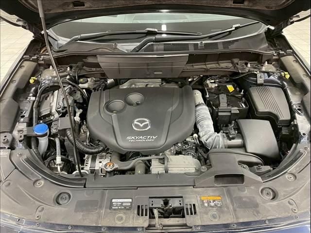 ���N�x�o�^���Œ��P�T�N�ԉ����\�I�p���\�ȃ����O�����T�|�[�g�T�[�r�X�y�f�r�������e�B�[�z�������B���w������F�؍H���