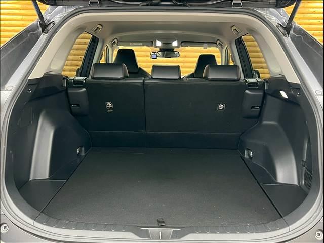 �L�X�Ƃ������Q�b�W���[���̓��W���[�ɂ��劈��ł��I�I