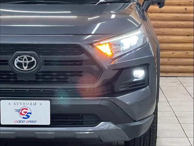 �k�d�c�w�b�h���C�g���ځB�铹�����邭�Ƃ炵�܂��B