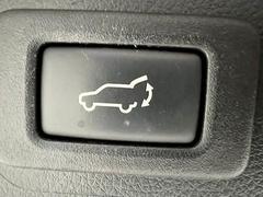 ܥĤǥꥢȤγĤǽʡ֥ѥХåɥפƤޤ 7