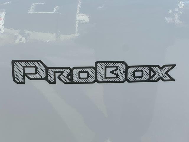 TOYOTA PROBOX F