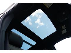 エクスペディション 　ＭＡＸリミテッド　２０１９ｙ　新車並行　実走行 0208510A30250224W001 7