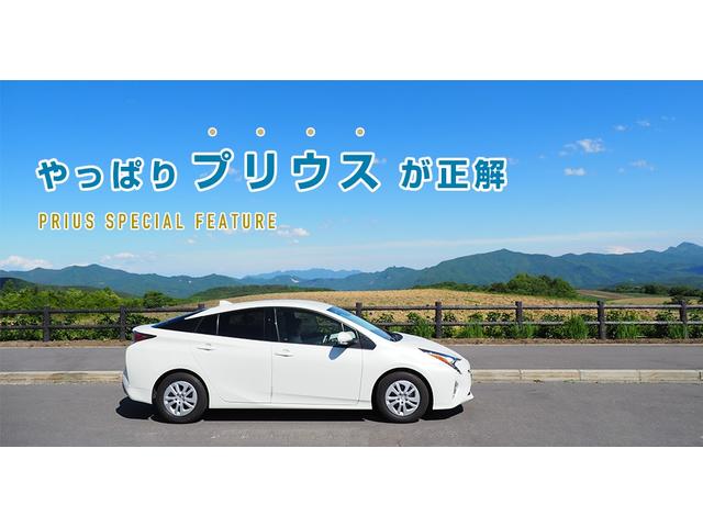 レガシィツーリングワゴン ２．５ｉ　Ｂスポーツアイサイト　Ｇパッケージ　４ＷＤ　ＥＴＣ　バックカメラ　ＴＶ　オートクルーズコントロール　レーンアシスト　衝突被害軽減システム　アルミホイール　オートライト　ＨＩＤ　パワーシート　スマートキー　アイドリングストップ　ＣＶＴ（45枚目）