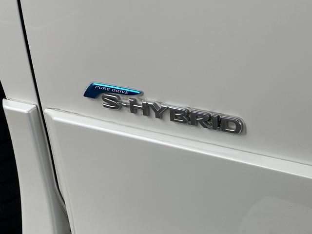 セレナ ハイウェイスター　ＥＴＣ　全周囲カメラ　ナビ　ＴＶ　クリアランスソナー　オートクルーズコントロール　衝突被害軽減システム　両側電動スライドドア　オートライト　スマートキー　アイドリングストップ　電動格納ミラー（29枚目）