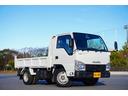 ISUZU ELF TRUCK