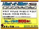 ２トン全低床平ボディー　６００ＫＧ対応垂直式パワーゲート　荷台床木板貼り　衝突軽減ブレーキ　車線逸脱警報装置　ＥＴＣ付き　床下工具箱　５ＭＴ（65枚目）