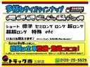 1.25トンWキャブ 4WD 荷台シマ鉄板貼り 衝突軽減ブレーキ 車線逸脱警報 ナビTV ETC リアヒーター付き オートハイビーム AT車(64枚目)