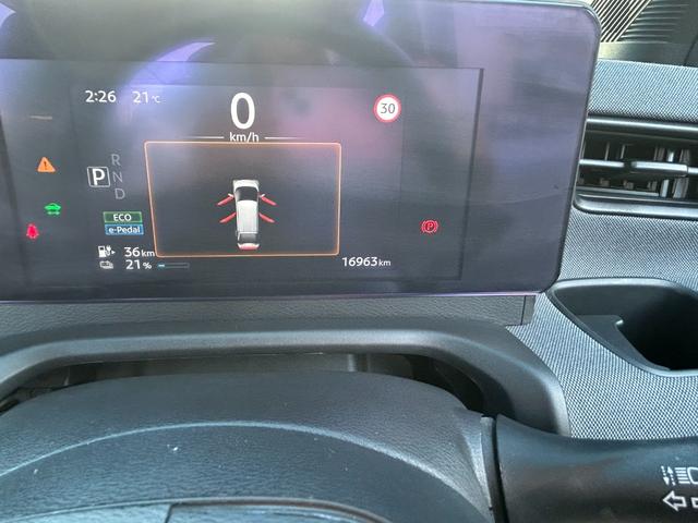 サクラ Ｇ（8枚目）