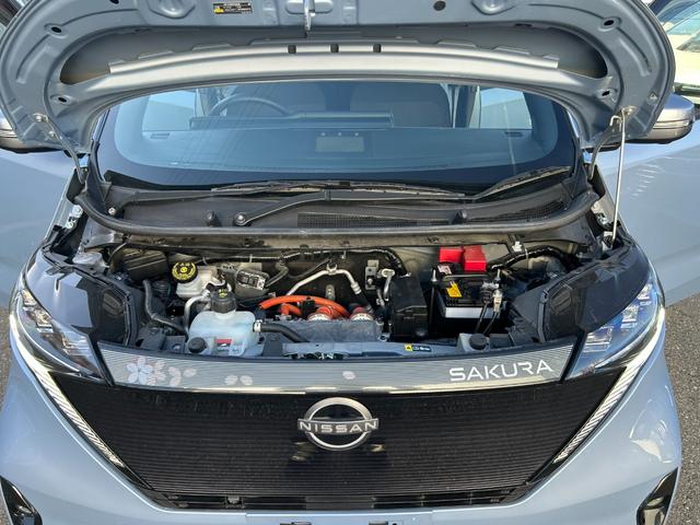 サクラ Ｇ（12枚目）