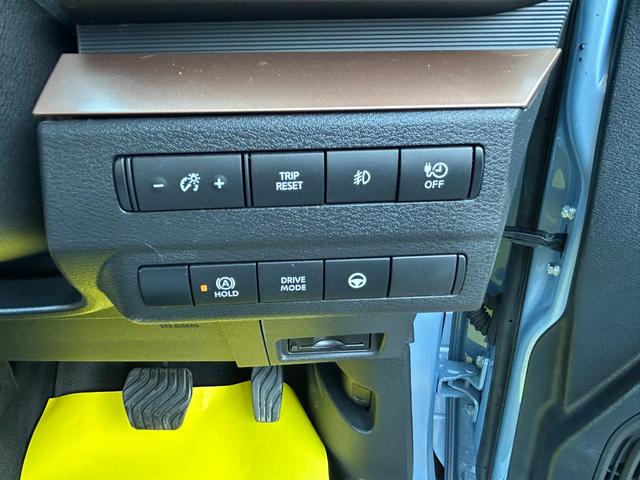 サクラ Ｇ（24枚目）