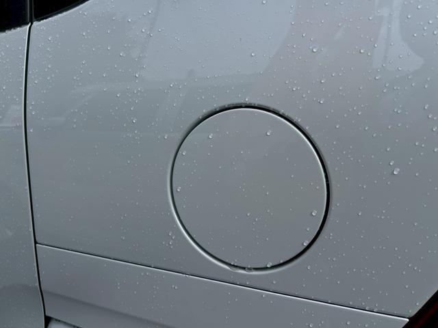 タント Ｘリミテッド（44枚目）