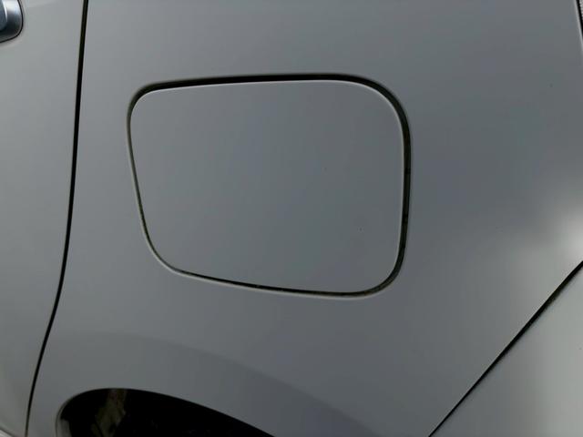 プレオプラス Ｆ（37枚目）