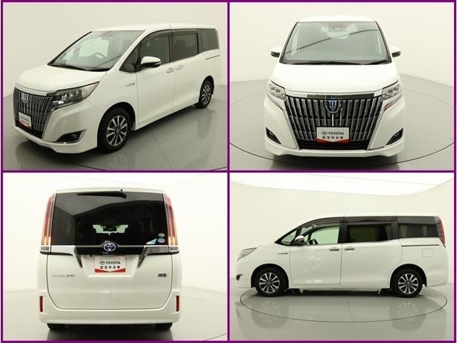 エスクァイア ハイブリッドGi プレミアムパッケージ ハイブリッド ナビ&TV 両側電動スライド メモリーナビ フルセグ 後席モニター バックカメラ ドラレコ DVD再生 ミュージックプレイヤー接続可 衝突被害軽減システム ETC 3列シート 記録簿(24枚目)