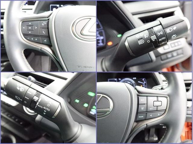 ＵＸ ＵＸ２５０ｈ　バージョンＬ　４ＷＤ　ムーンルーフ　ナビ　フルセグ　全方位モニター　ドラレコ　オートＡＣ　衝突被害軽減システム　ＥＴＣ　電動革シート　スマートキー　ＬＥＤ　ＦＯＧ　クリアランスソナー　パワーバックドア　オートライト（19枚目）