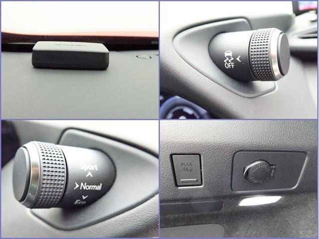 ＵＸ ＵＸ２５０ｈ　バージョンＬ　４ＷＤ　ムーンルーフ　ナビ　フルセグ　全方位モニター　ドラレコ　オートＡＣ　衝突被害軽減システム　ＥＴＣ　電動革シート　スマートキー　ＬＥＤ　ＦＯＧ　クリアランスソナー　パワーバックドア　オートライト（30枚目）