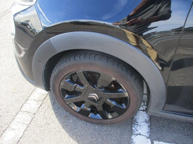 C3 カフェエディション 純正ナビゲーション バックカメラ Bluetoothオーディオ ブラインドスポット クルーズコントロール スマートキー LEDデイライト ETC フルセグテレビ(29枚目)