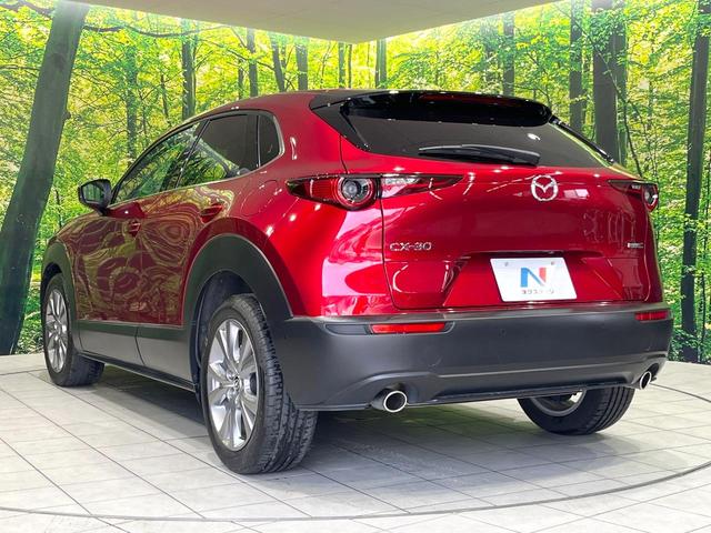 ＣＸ－３０ ２０Ｓ　プロアクティブ　ツーリングセレクション　禁煙車　純正ＳＤナビ　衝突軽減　バックカメラ　レーダークルーズ　Ｂｌｕｅｔｏｏｔｈ接続　フルセグＴＶ　ＥＴＣ　ドラレコ　シートヒーター　電動リアゲート　ＬＥＤヘッド　クリアランスソナー（25枚目）