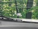 ハイブリッドＸＳターボ　禁煙車　純正９型ディスプレイ　衝突軽減　全周囲カメラ　両側電動ドア　Ｂｌｕｅｔｏｏｔｈ　ＥＴＣ　フルセグ　レーダークルーズコントロール　パドルシフト　ＬＥＤヘッド　ＬＥＤフォグ　前席シートヒーター（40枚目）